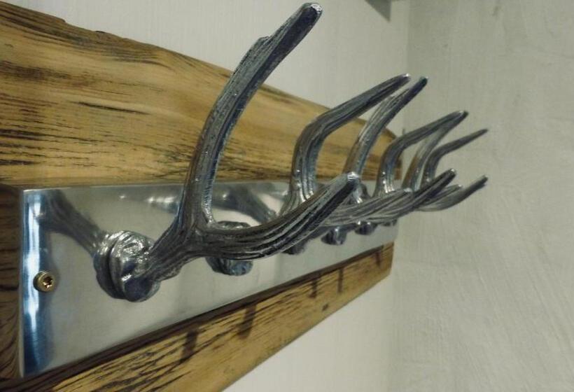 膳宿费 Casa Shania