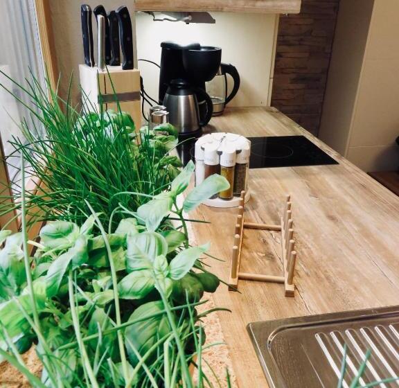 膳宿费 Casa Shania