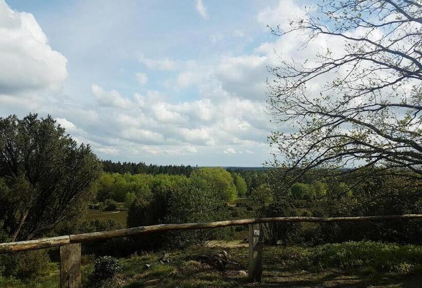 Пансион Dat Lütte Heidehotel Funk Garni