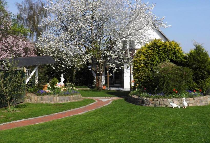 Пансион Gästehaus Ziemann