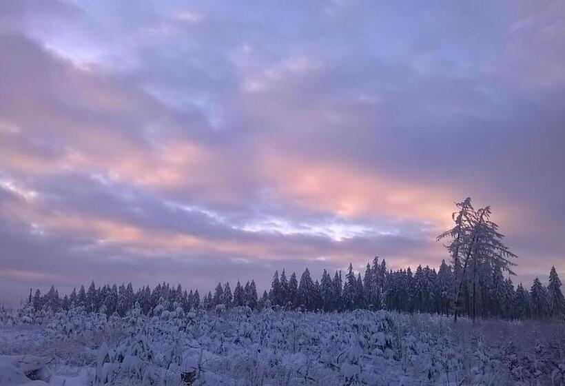 Waldpension Harzer Waldwinkel