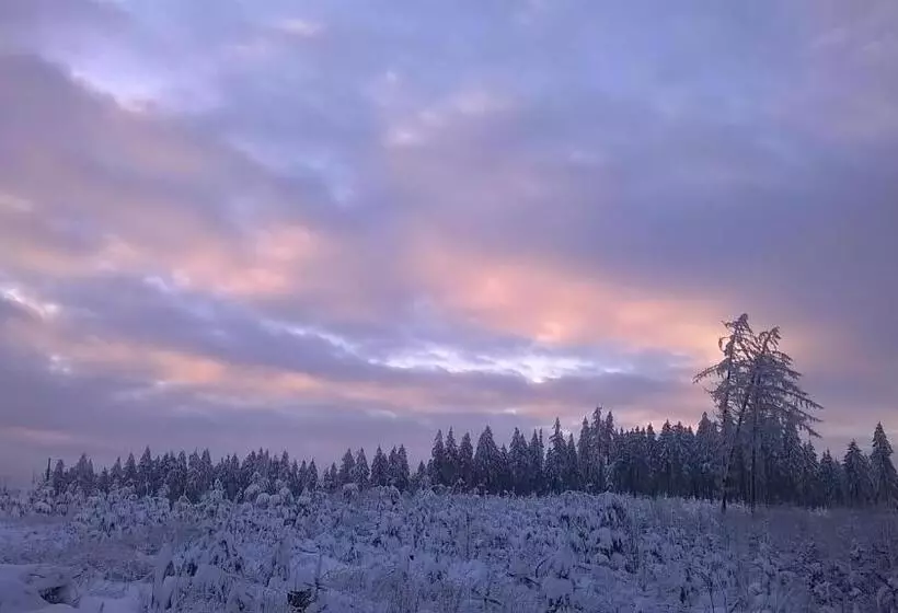 Waldpension Harzer Waldwinkel