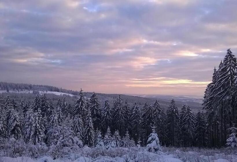 Waldpension Harzer Waldwinkel
