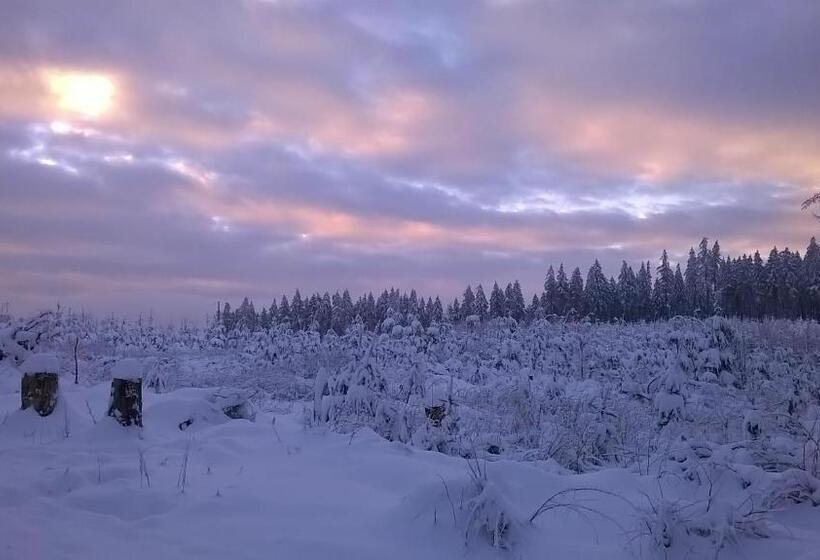 Waldpension Harzer Waldwinkel
