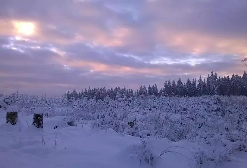 Waldpension Harzer Waldwinkel
