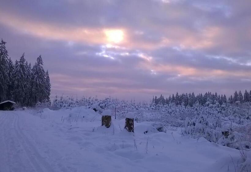 Waldpension Harzer Waldwinkel