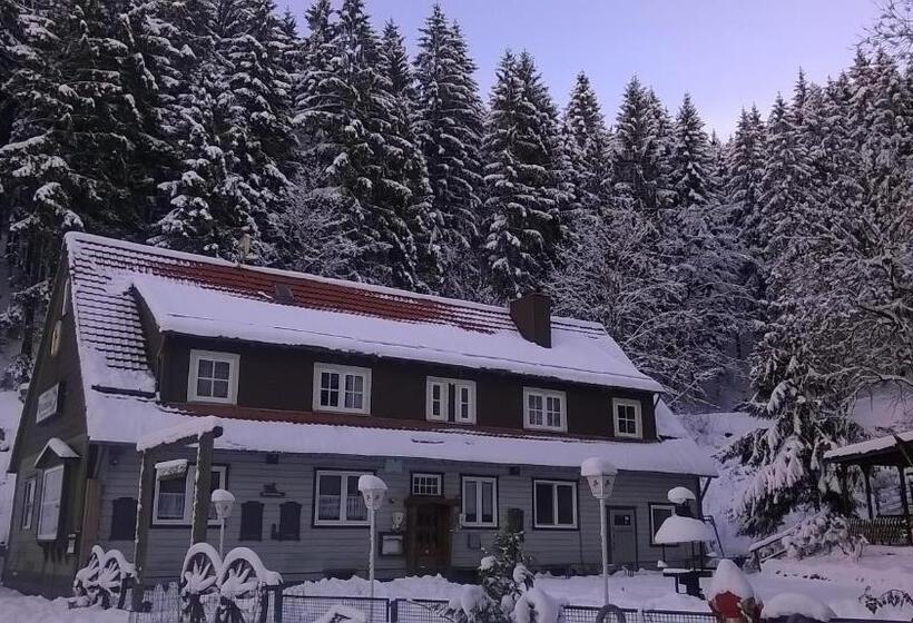 Waldpension Harzer Waldwinkel