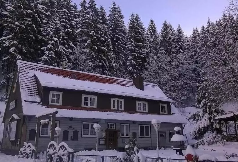 Waldpension Harzer Waldwinkel