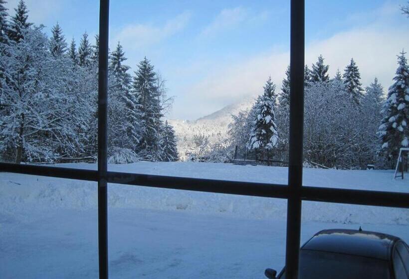 Waldpension Harzer Waldwinkel