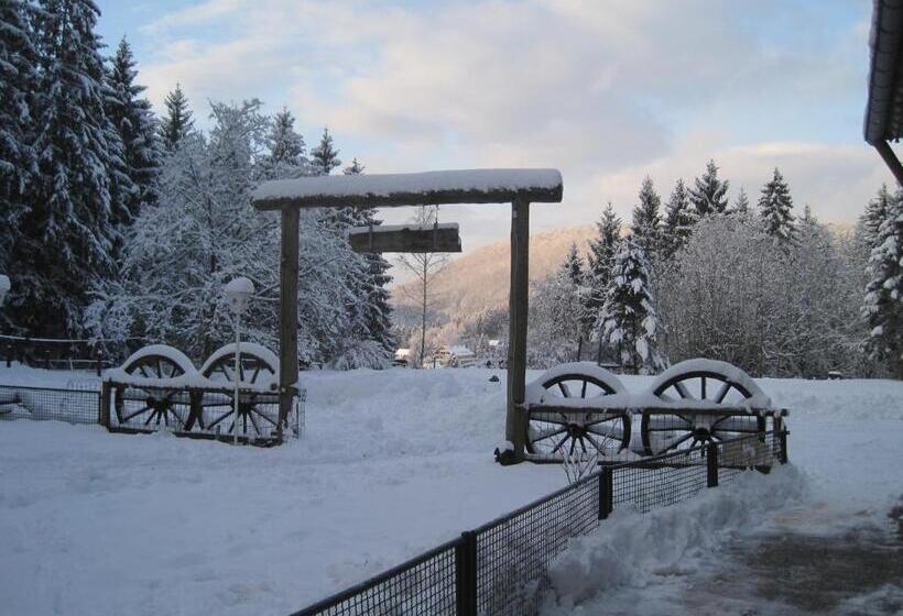 Waldpension Harzer Waldwinkel