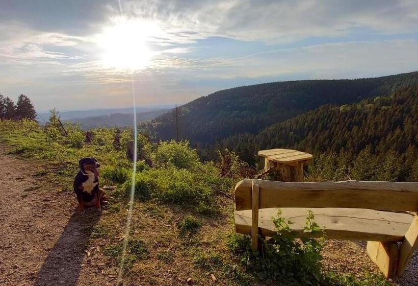 Waldpension Harzer Waldwinkel