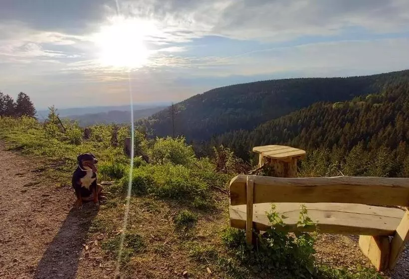 Waldpension Harzer Waldwinkel