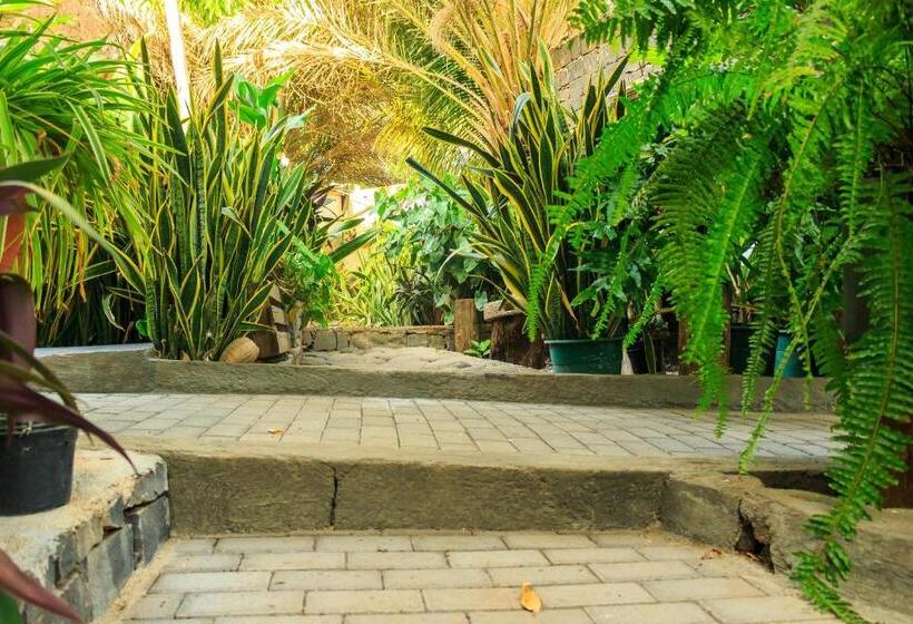 هتل Pousada Quinta Ribeirinha