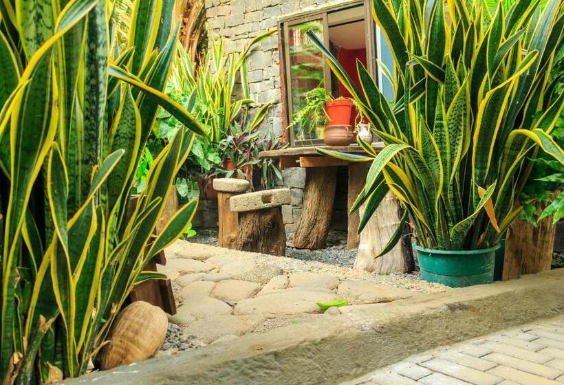 هتل Pousada Quinta Ribeirinha