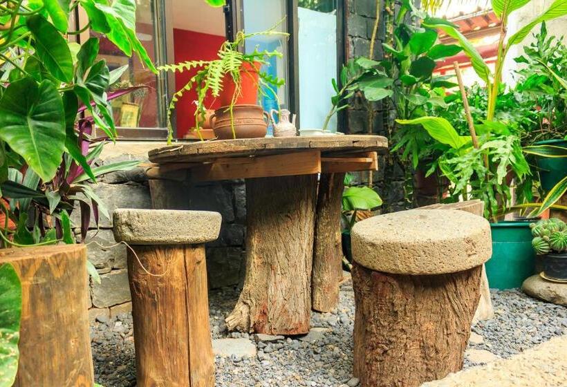 هتل Pousada Quinta Ribeirinha