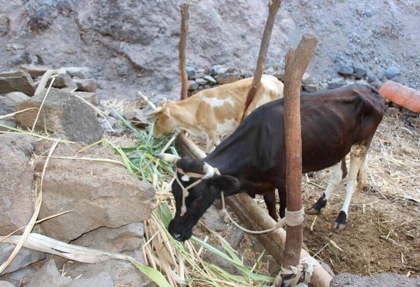 هتل Pousada Quinta Ribeirinha