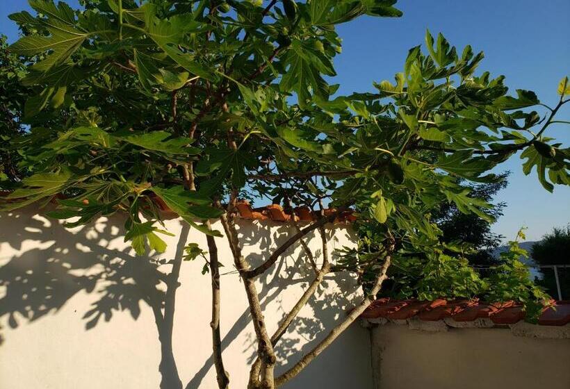 بنسيون Guest House Evtimov