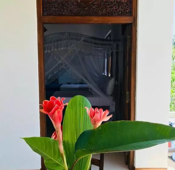 پانسیون Neli Guests House