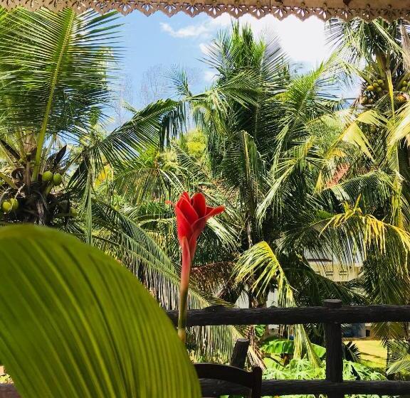 פנסיון Neli Guests House