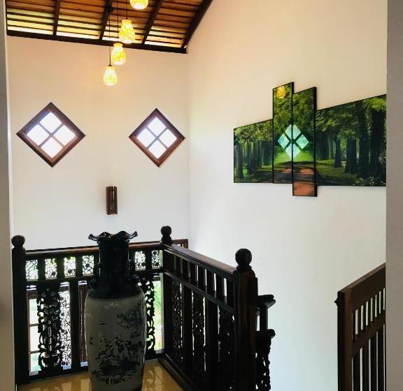 פנסיון Neli Guests House