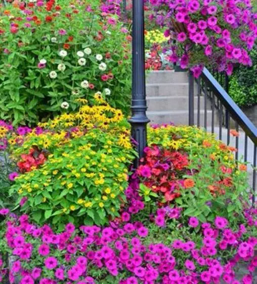 Retkeilymaja Bob Timberlake Inn At Chetola Resort