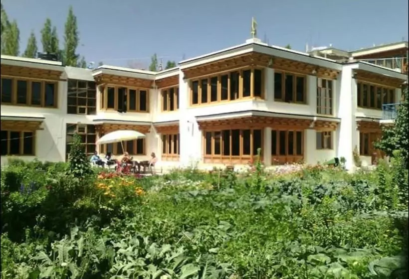 هتل Dolma Residency