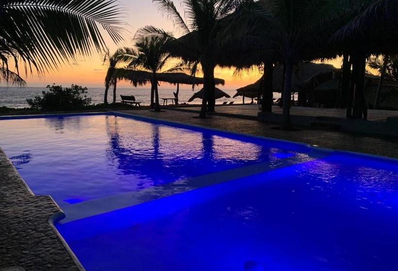 ホテル Casa Ofelia