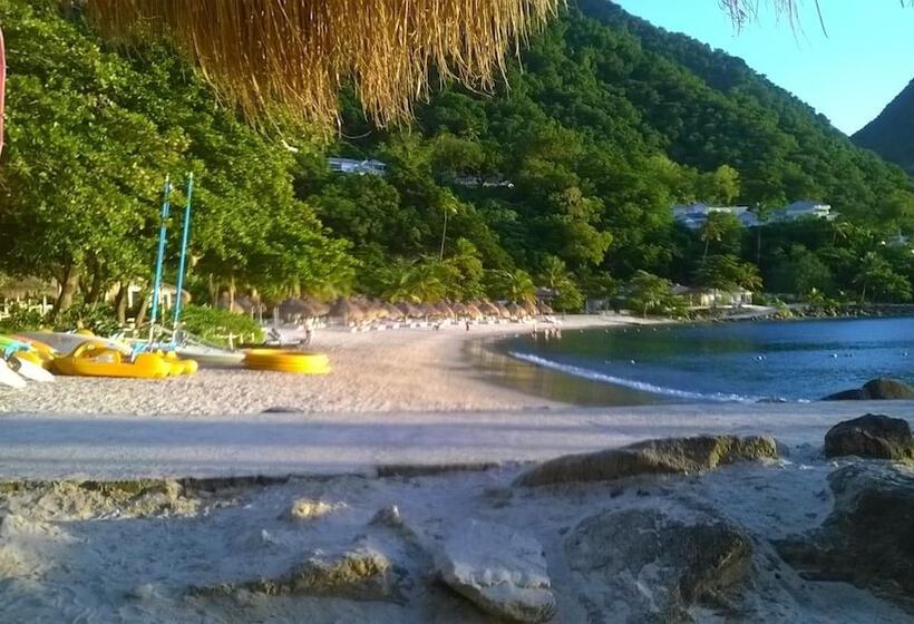 پانسیون Cocoa Pod Studio