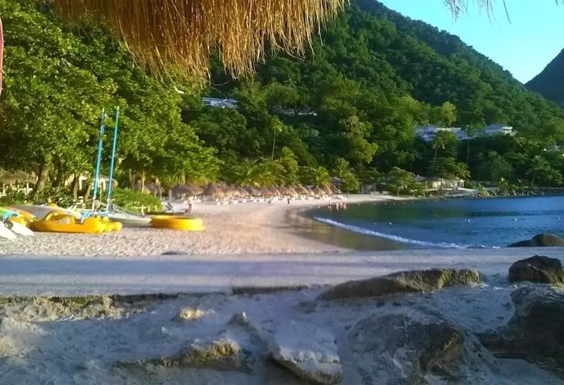 پانسیون Cocoa Pod Studio