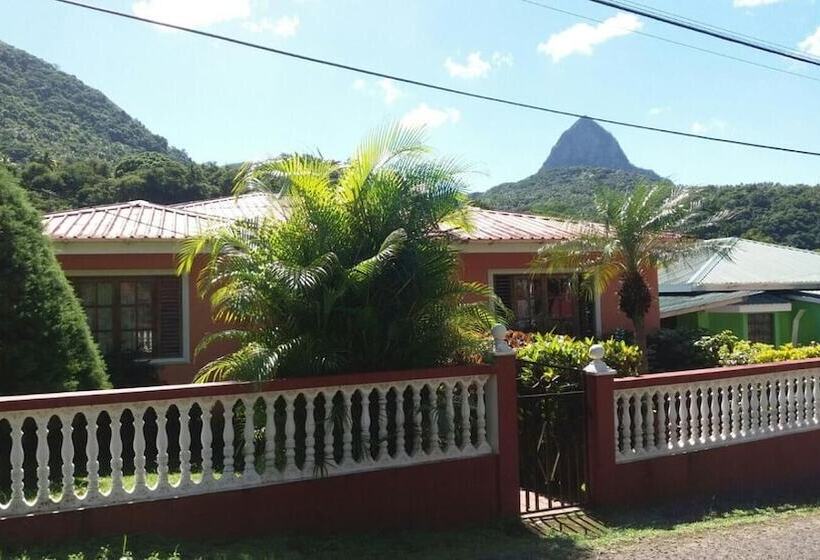 پانسیون Cocoa Pod Studio