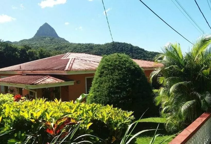 پانسیون Cocoa Pod Studio