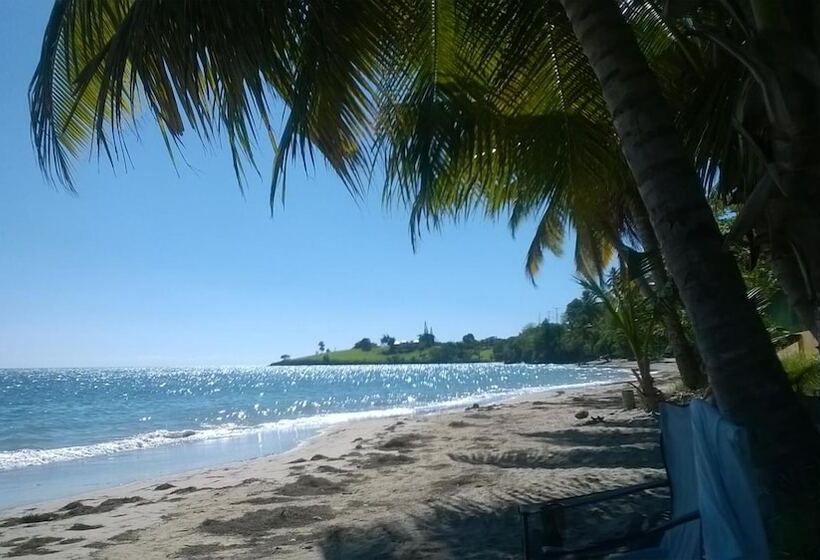 پانسیون Cocoa Pod Studio