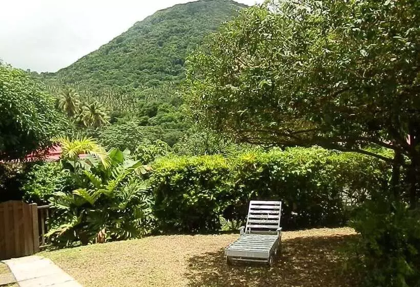 پانسیون Cocoa Pod Studio