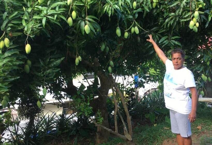 پانسیون Cocoa Pod Studio