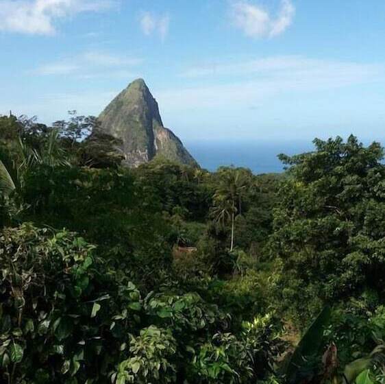 پانسیون Cocoa Pod Studio