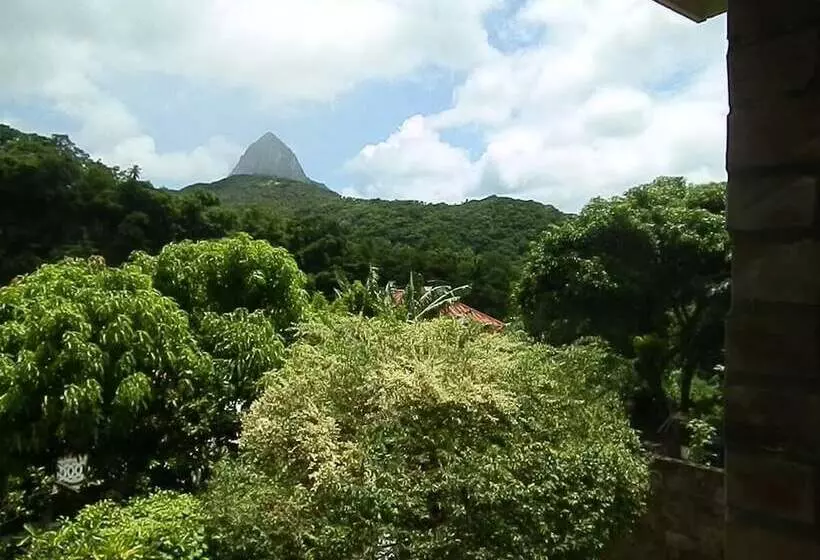 پانسیون Cocoa Pod Studio