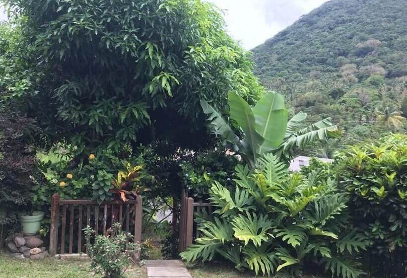 پانسیون Cocoa Pod Studio