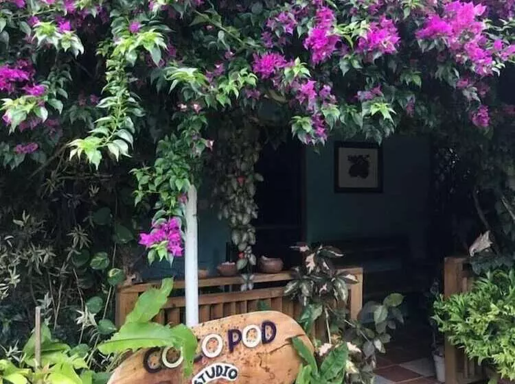 پانسیون Cocoa Pod Studio