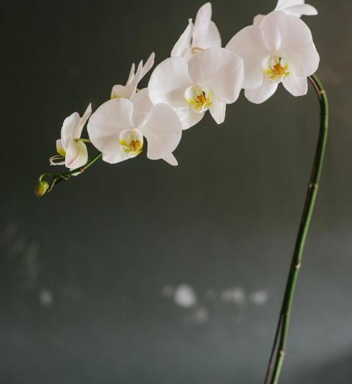 Пансион Double A Guest House