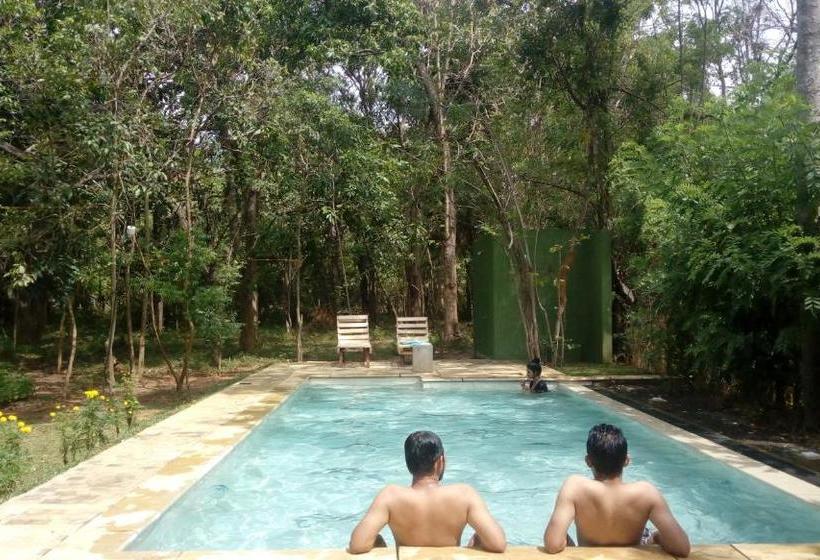 بنسيون The Orchard Habarana