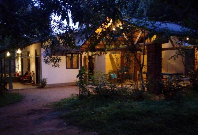 بنسيون The Orchard Habarana