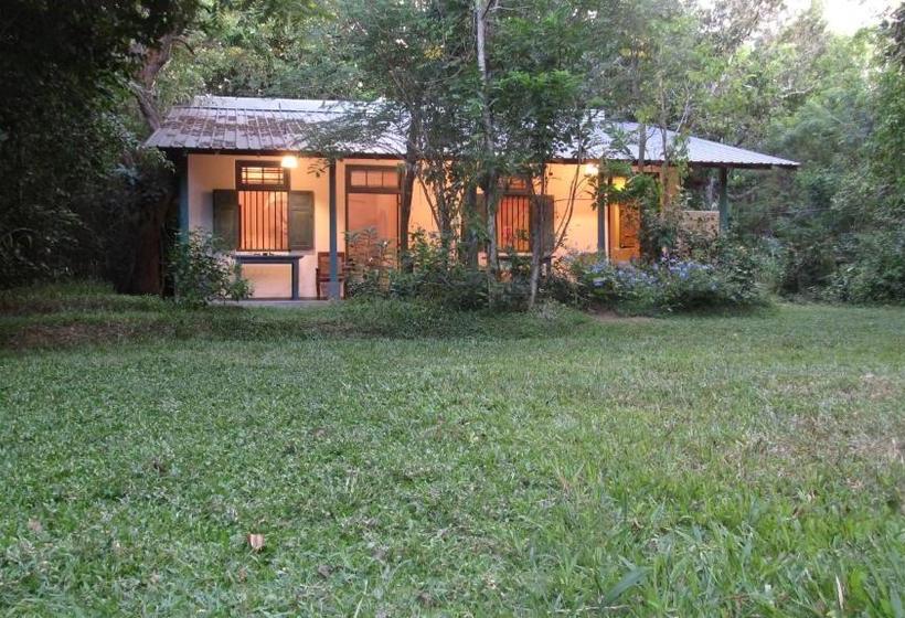 بنسيون The Orchard Habarana