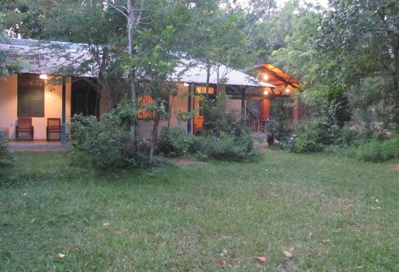 بنسيون The Orchard Habarana