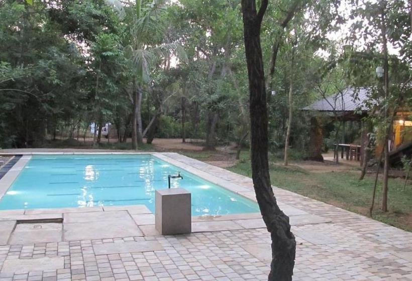 بنسيون The Orchard Habarana