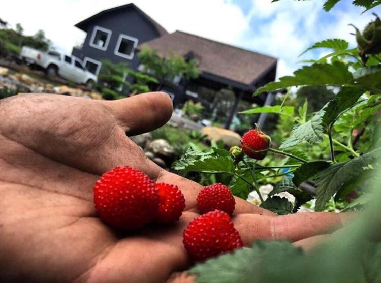 ペンション El Granero De Frida