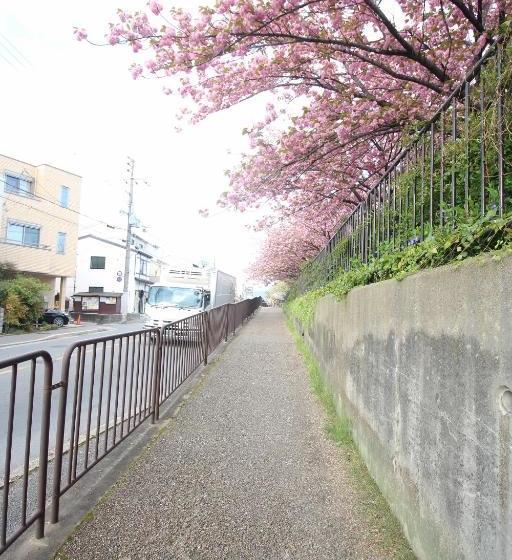 פנסיון Kiyomori No Baika