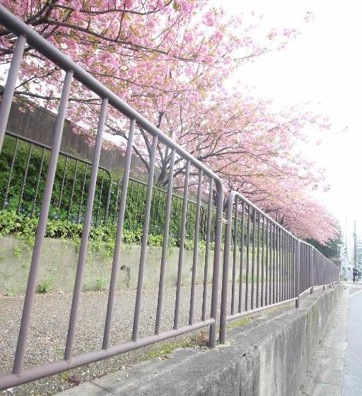 פנסיון Kiyomori No Baika