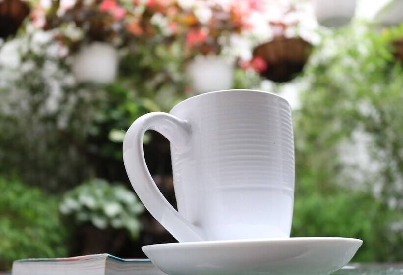 膳宿费 Santiago Dc Hostal