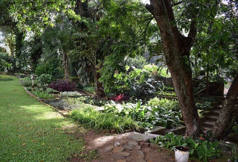 پانسیون Micklefield Bungalow