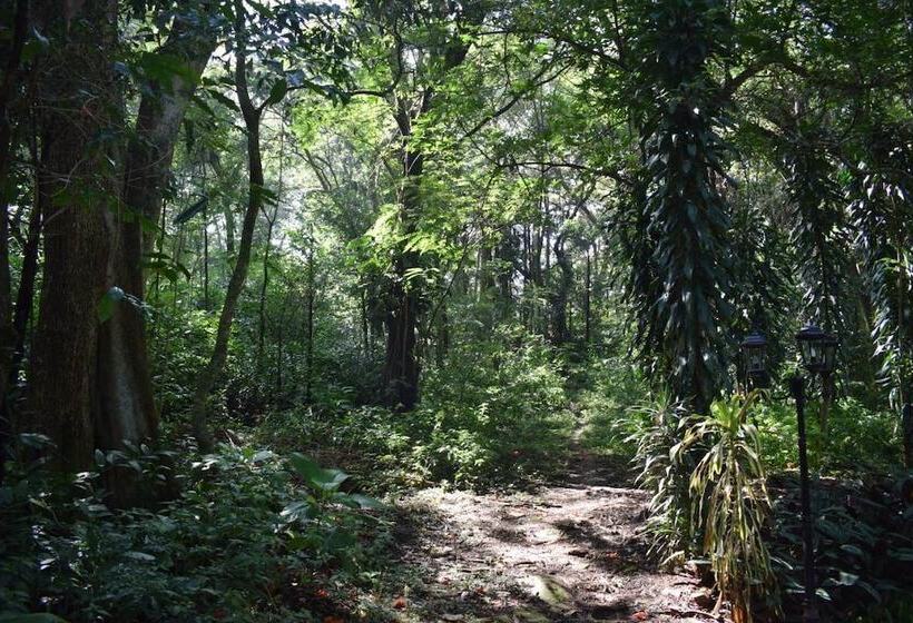 پانسیون Micklefield Bungalow